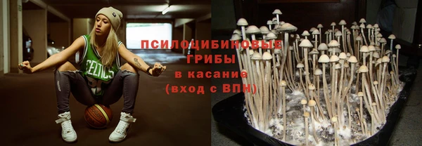 синтетический гашиш Алексеевка