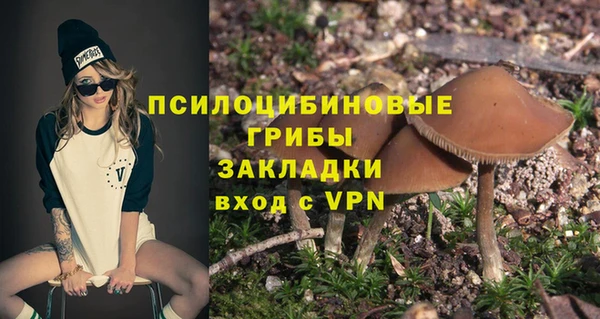 ПСИЛОЦИБИНОВЫЕ ГРИБЫ Алексин