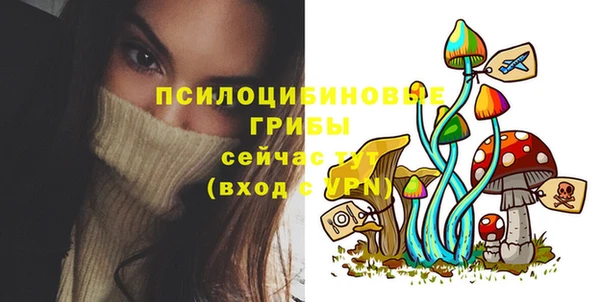синтетический гашиш Алексеевка